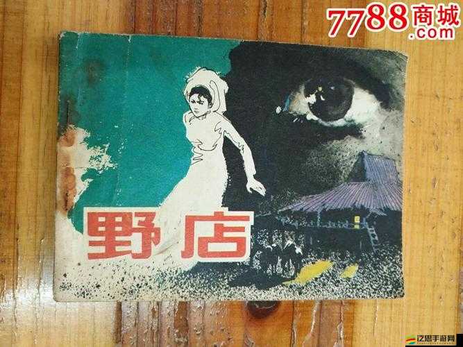 岳婦倫豐滿 69ⅩⅩ：揭秘私密生活的背后故事