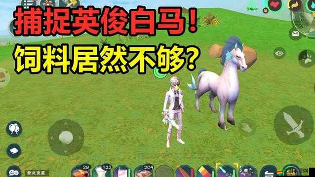 創造與魔法游戲內英俊白馬獲取方法及全面屬性詳細解析