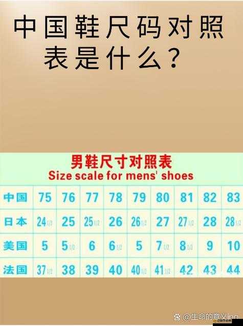 歐洲碼日本碼中國碼：探究不同國家尺碼標準的差異與特點