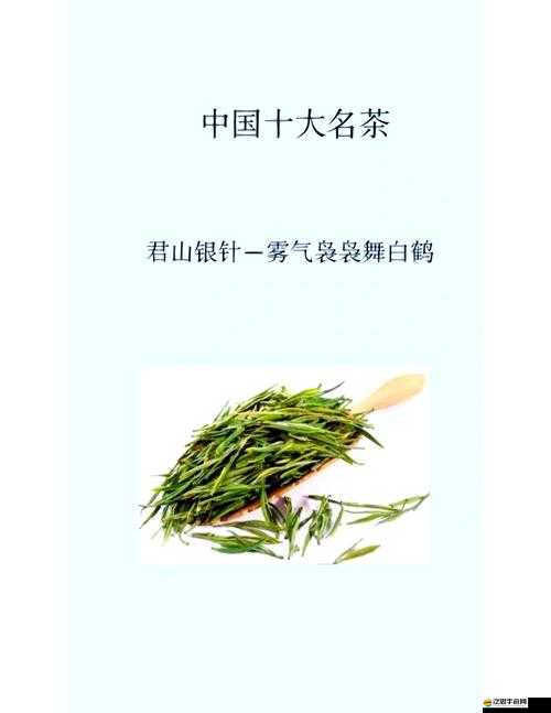 本茶綱目揭秘，君山銀針，千年傳承的茶中貴族韻味再現