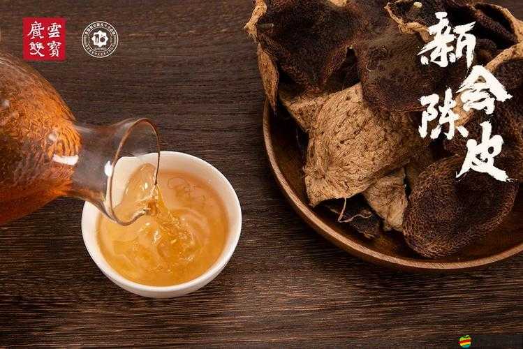 本茶綱目新手速成攻略，解鎖茶界新手進階之路的全面秘籍