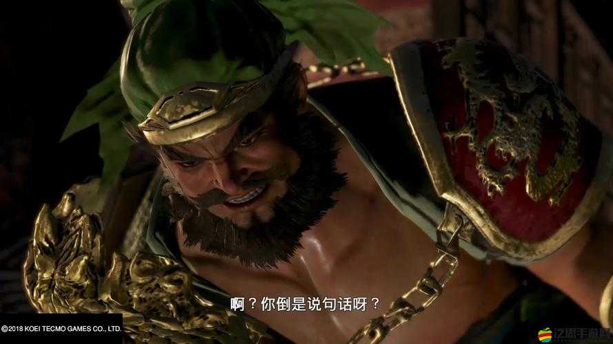 真三國無雙霸張飛角色深度攻略，全面解析張飛技能及高效連招技巧