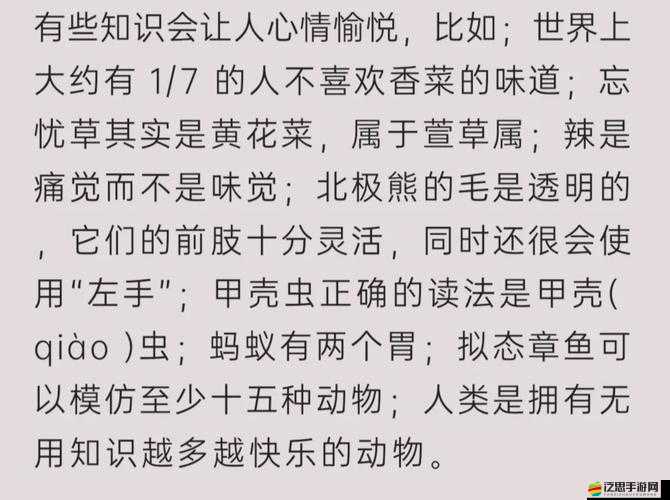 代號揭秘，靈同調者的自我修養深度解析，休閑玩法亮點大爆料