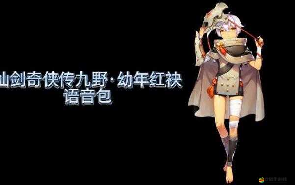 仙劍奇?zhèn)b傳九野，全面解析常見新手問題與解答指南