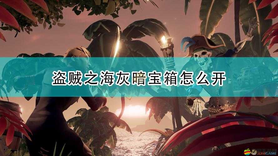 盜賊之海，全面解析各類型寶箱獲得技巧及其珍貴價值一覽