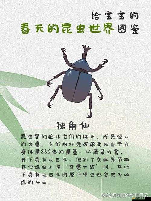 悠長(zhǎng)假期，全面解鎖昆蟲圖鑒及詳盡分布位置攻略指南