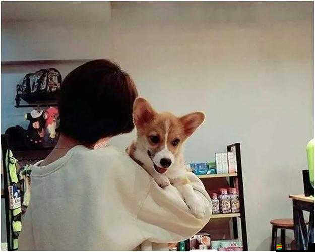 ZOOMSERVO 獸狗劇情解析：探索人性的黑暗與救贖之路
