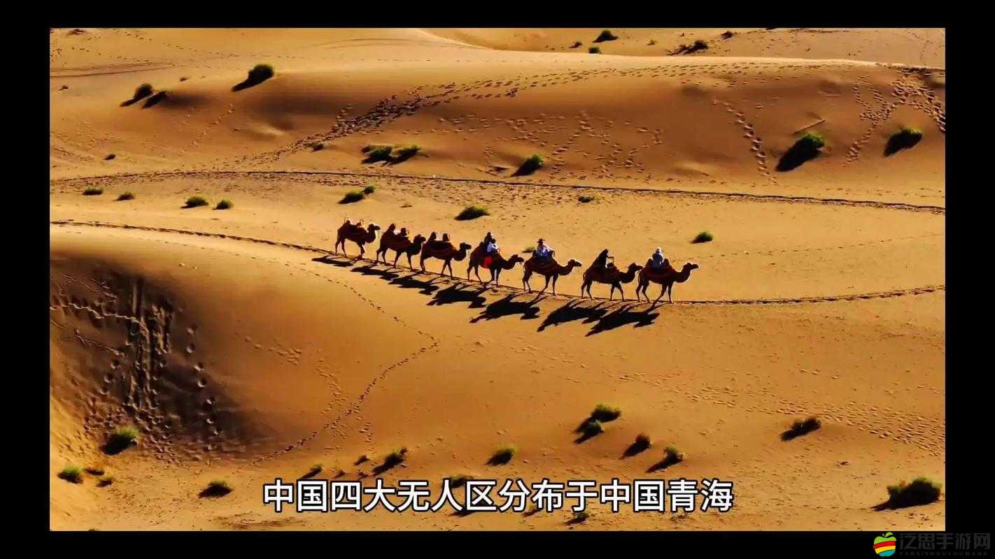 無人區一碼二碼三碼四碼區探秘：神秘區域背后的故事與秘密