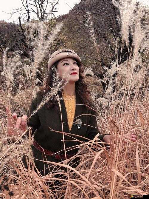 天美麻花星空免費觀看鄉村版：帶給你不一樣的鄉村視覺體驗之旅