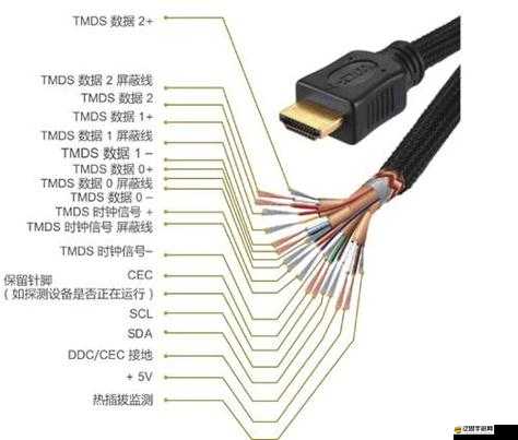 HDMI 接口類型的高清視頻線和音頻線：你需要了解的一切