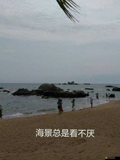 海角登錄入口網(wǎng)頁版：暢游互聯(lián)網(wǎng)的便捷通道