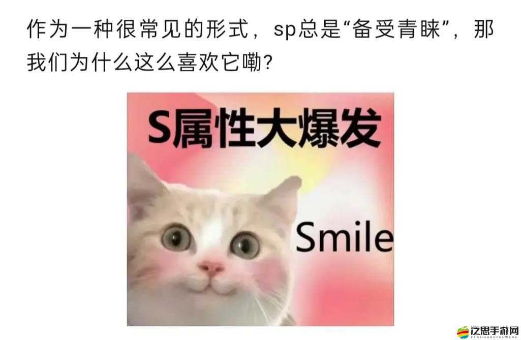 持續一周的 sp 懲罰期內容要求之詳細計劃與具體安排