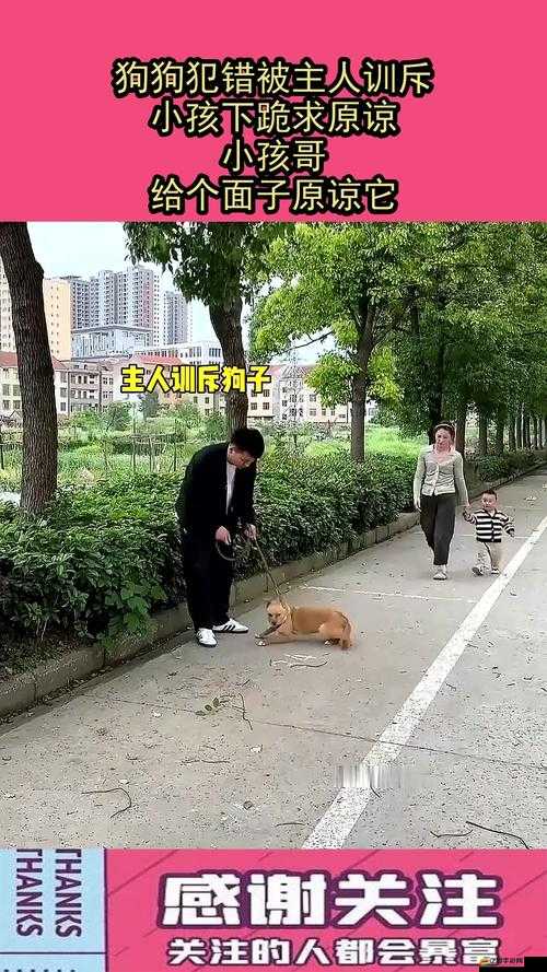 面對跪著的主人走到面前時該如何應對