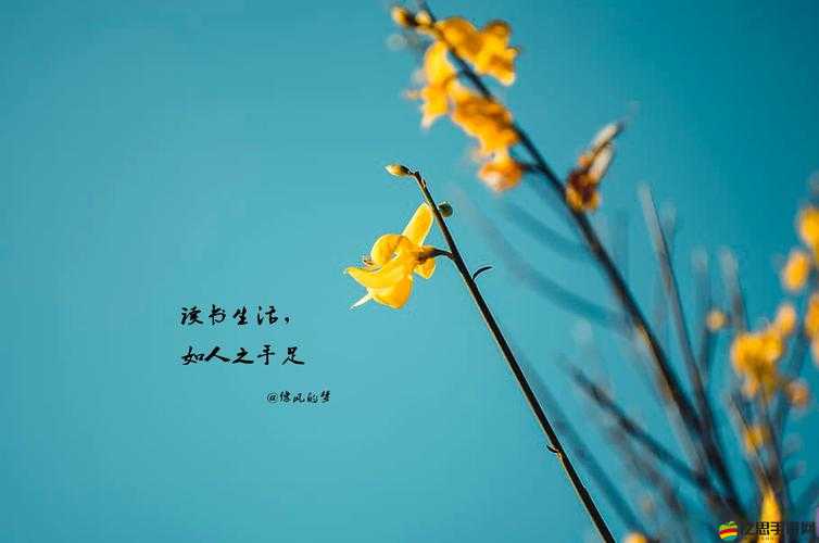 唔別在這有人：探討別樣人生的獨特境遇與感悟