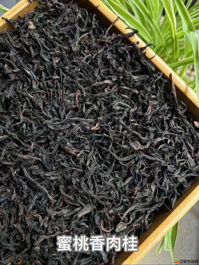 水簾洞肉桂蜜桃香：獨特茶香與甜蜜桃香的奇妙融合
