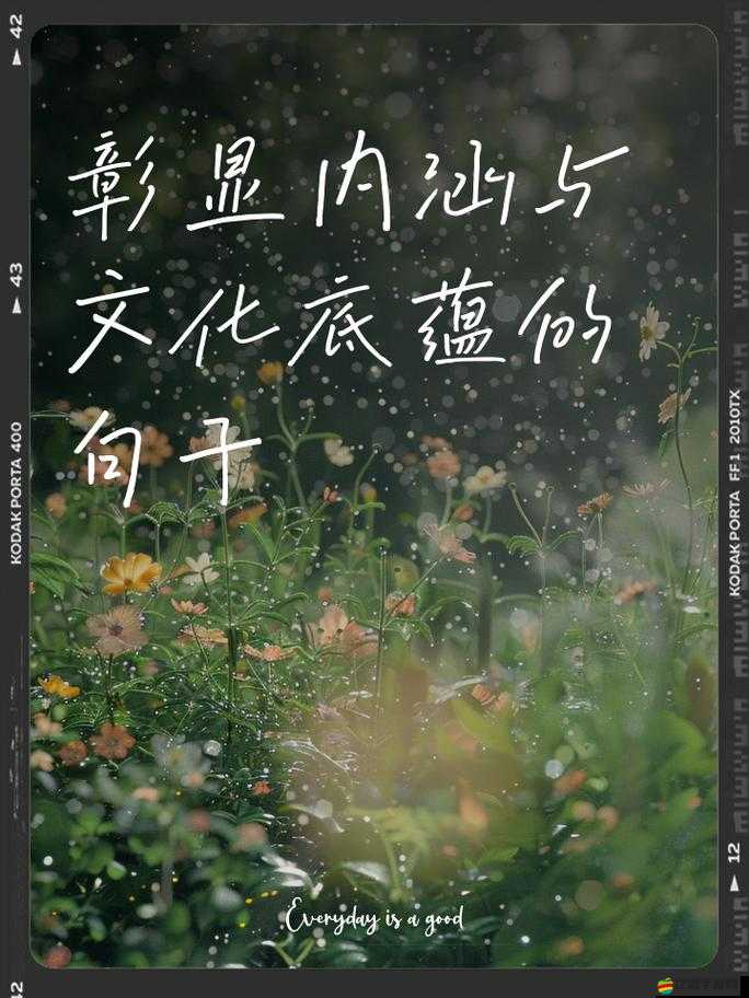 37vt 最大但人文藝術(shù)：探尋其中蘊(yùn)含的獨(dú)特魅力與深厚內(nèi)涵