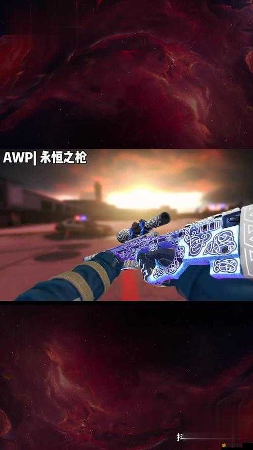 日本 CSGO 大姐姐 AWP 價格究竟幾何