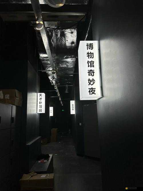 夜里十大禁用軟件 APP 下載：探尋被禁止背后的秘密與風(fēng)險(xiǎn)