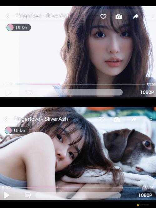歐美 MV 與日韓 MV 風格對比及各自特色解析