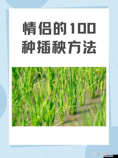 夫妻插秧 38 種方法圖片大全：全面展示鄉村勞作的獨特魅力