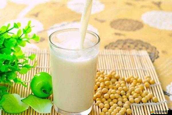 做運動磨豆漿視頻：活力運動與豆漿制作的完美結合