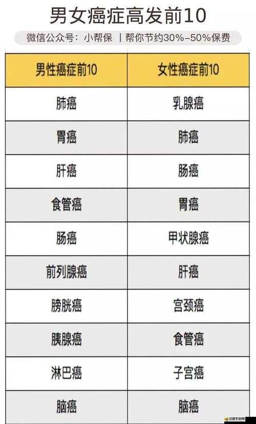夜里 100 種禁用的視頻軟件：其危害及影響不容忽視