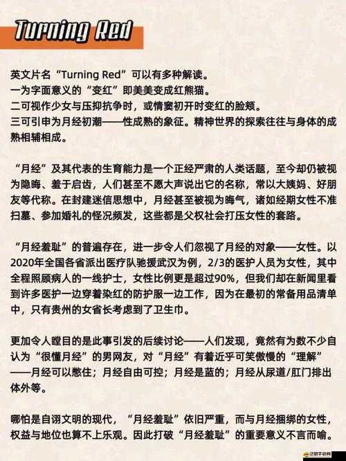 無(wú)法滿足 1980 意大利相關(guān)內(nèi)容引發(fā)的思考與探討