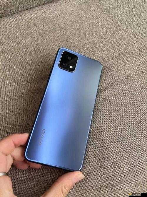 一級成色好的 y31s 標準版：一款超值的高品質手機等你來發現