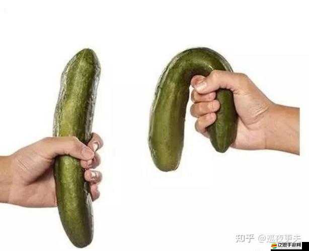 50 歲硬不起是什么原因怎么辦：探尋有效解決途徑與方法