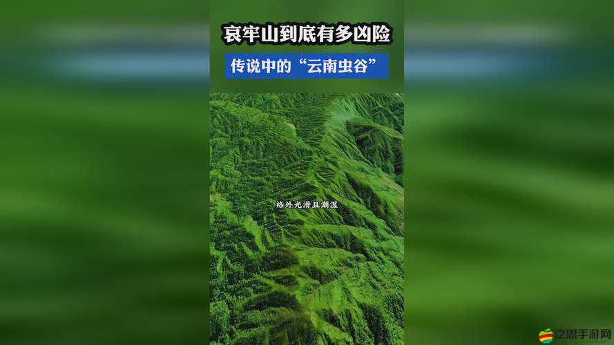 反差婊吃瓜黑料萬里長征：一段令人震驚的背后故事
