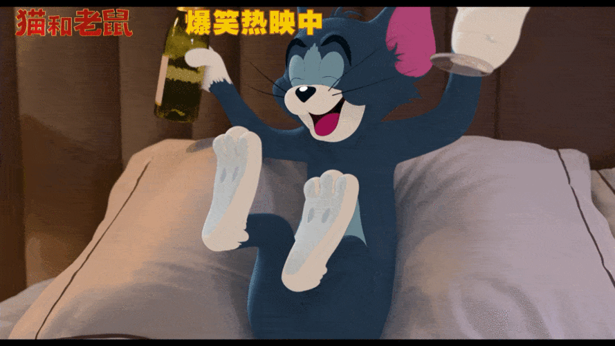 貓咪和湯怎么進入貓貓房間之探索與發現全過程詳細解析