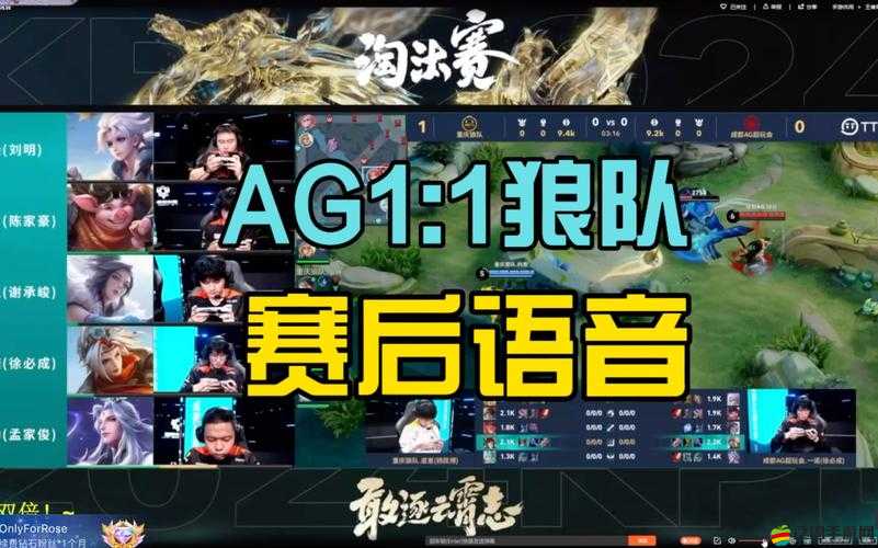 深入解析，狼隊游戲特色與玩法，探索其是否值得一試的32字以上標題