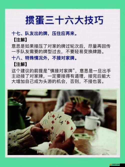 摜蛋高手技藝訓練：全方位提升實戰技巧與策略