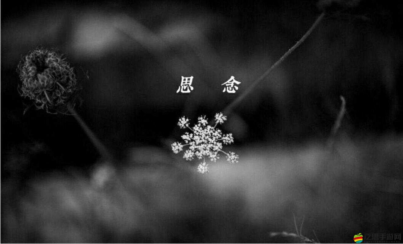天天想你，今夜無人入睡，無盡思念縈繞心間
