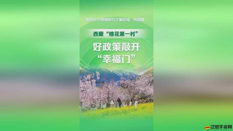 關于 17c.c-起草的相關事宜探討與分析
