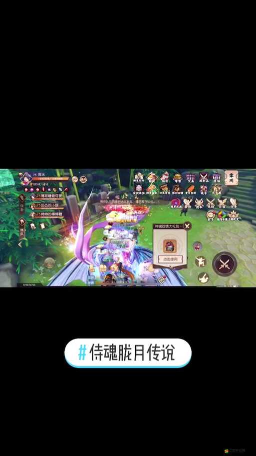 侍魂朧月傳說重大更新揭秘，全新團本BOSS陣容震撼一覽