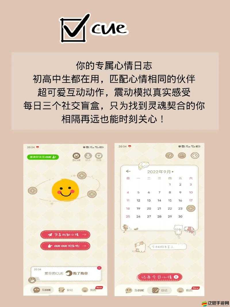 揭秘生活真相，大學(xué)寢室管理的獨特玩法與實用攻略指南