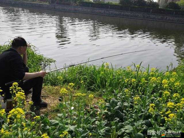 綠色地獄游戲新手指南，全面掌握釣魚技巧與策略攻略