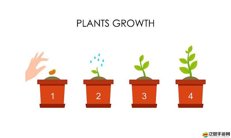 老農種樹，探索樹木成長之旅與春節相逢的奇妙時間軸