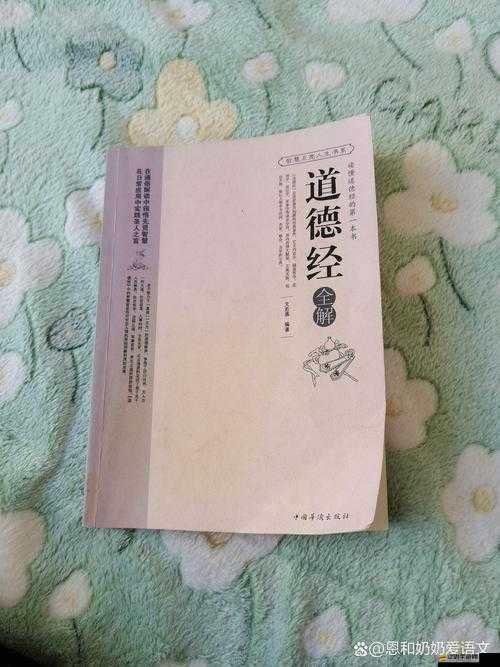 少年俠客踏上尋寶之旅，無極寶典成其明智之選與成長伴侶