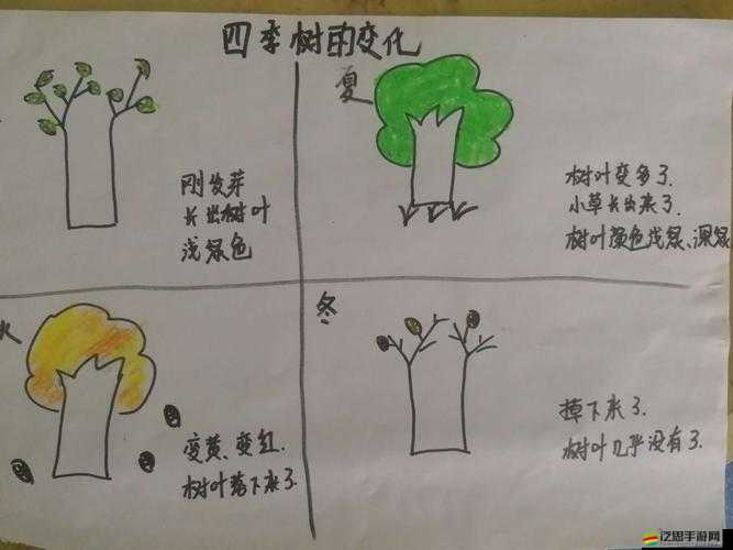 2025年春節(jié)后攻略，四季之春位置全解鎖，踏上一場(chǎng)春日秘境的奇妙之旅