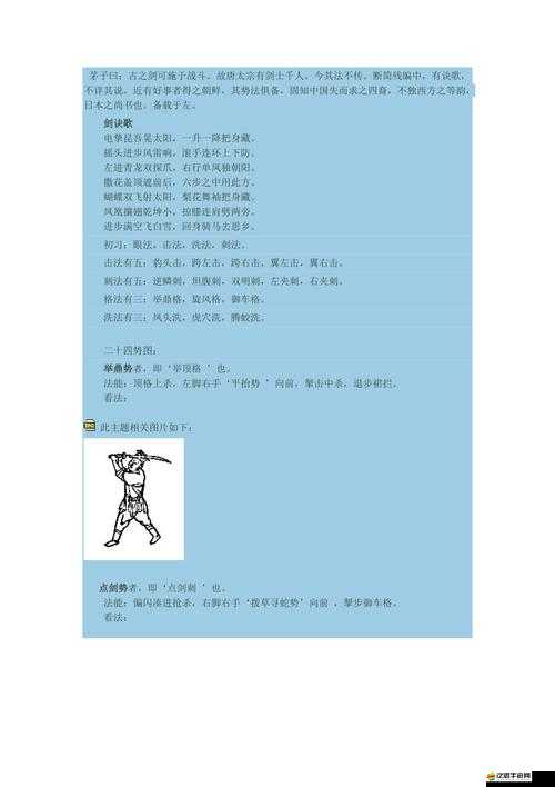 武林英雄傳，深度剖析武學(xué)招式，一招一式蘊(yùn)含深厚學(xué)問與精髓