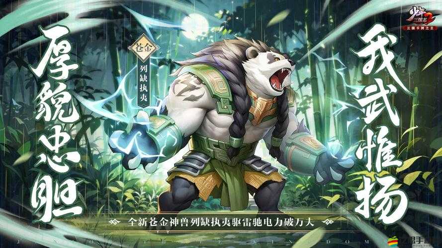 揭秘少年三國志任務重置時間規律，精準把握，助你贏在游戲起跑線