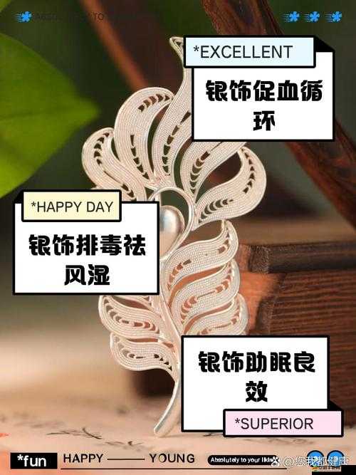 解析大掌門游戲中銀子的多重功效與用途詳解