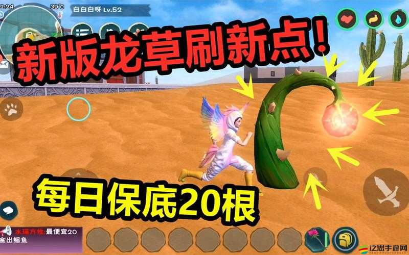 創(chuàng)造與魔法游戲內(nèi)龍涎草刷新時(shí)間規(guī)律及獲取策略詳解