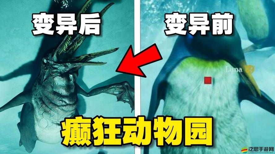 瘋狂動物園攻略，掌握技巧，成功捕捉神秘而強(qiáng)大的龍馬角色