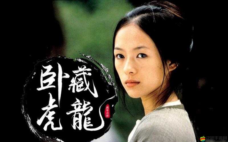 臥虎藏龍，滿級后電影與游戲玩家的不同探索方向解析