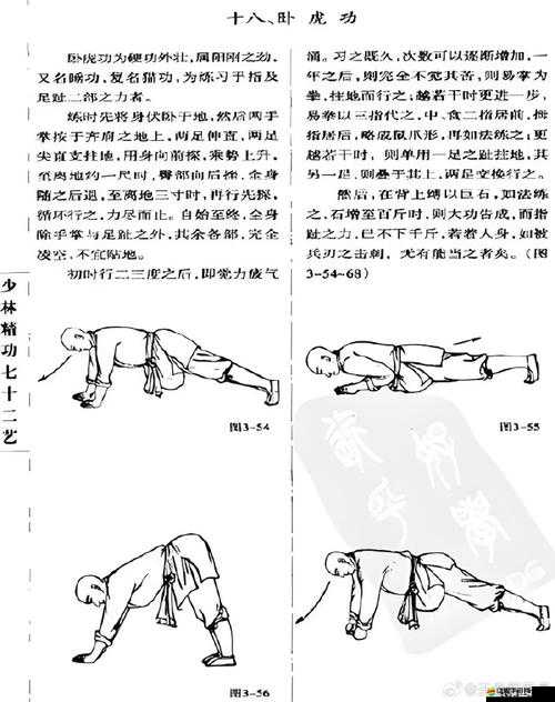臥虎藏龍2游戲深度解析，藥王角色技能姿態全面詳解