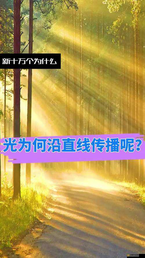 2025年蛇年春節期間，全民探尋奇跡光圈神秘光輝的源頭