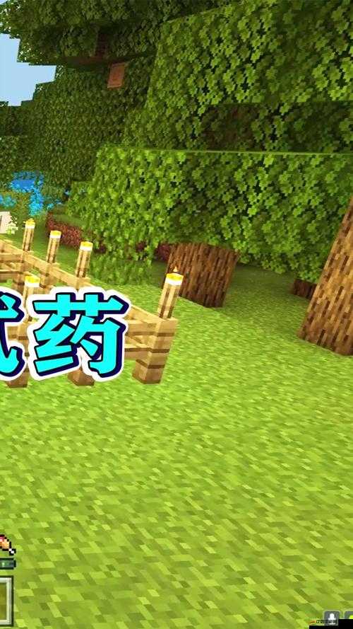在我的世界游戲中實(shí)現(xiàn)水不流動(dòng)的多種方法與策略詳解